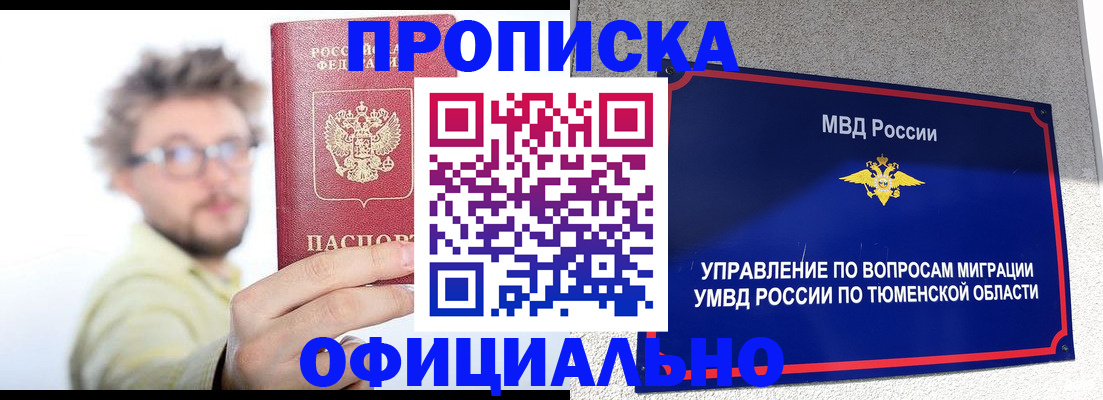 прописка поиск в Щёкино